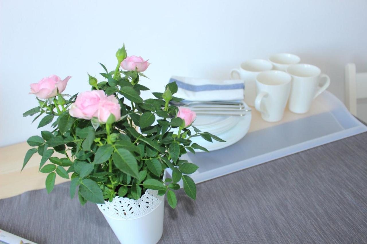 Pokoje I Apartamenty Na Szkolnej 자토르 외부 사진