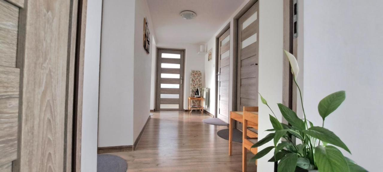 Pokoje I Apartamenty Na Szkolnej 자토르 외부 사진